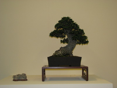 EBA & ESA Convention 2010