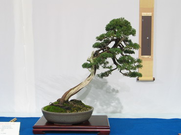 NolanderTrophy 7
