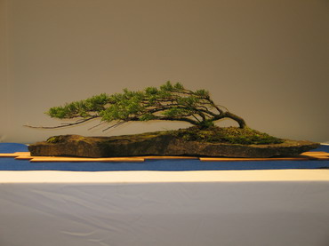 NoelanderTrophy