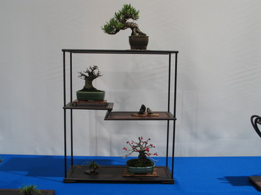 NolanderTrophy 7