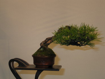 NolanderTrophy 2