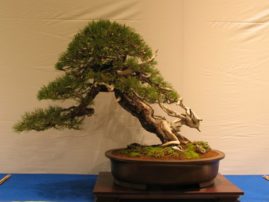 NolanderTrophy 3