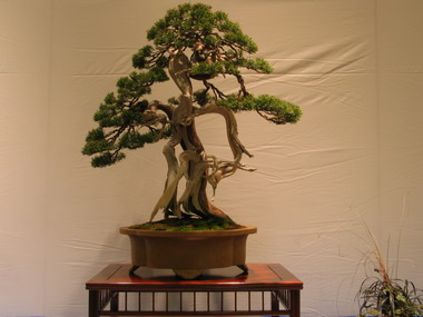NolanderTrophy 3