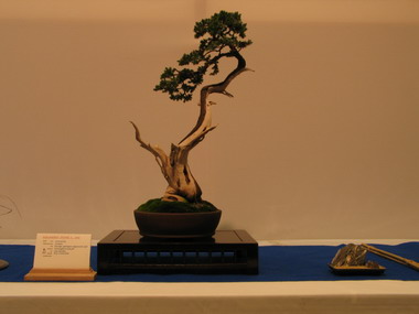 NolanderTrophy 2