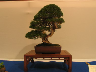 NolanderTrophy 4