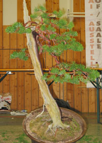 Tokita_6