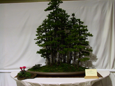 NolanderTrophy 7