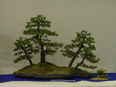 NolanderTrophy 3
